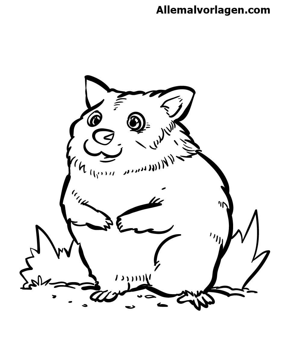 Ausmalbilder Hamster für Dich – Zum Ausdrucken
